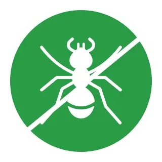 Ant Control