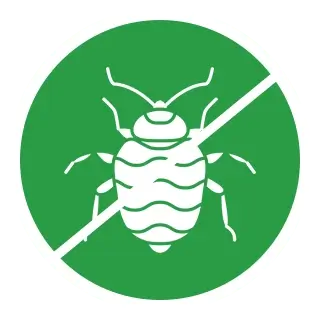 Bed Bug Control