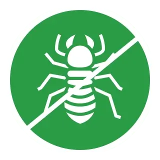 Termite Control