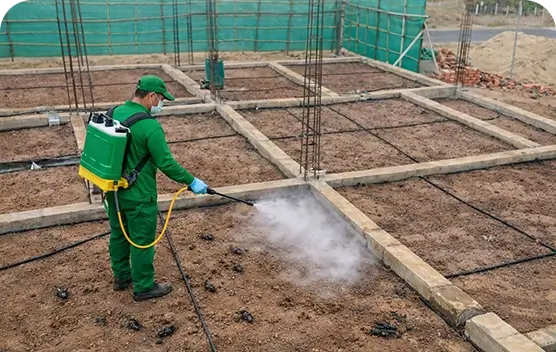 Termite Pipeline System